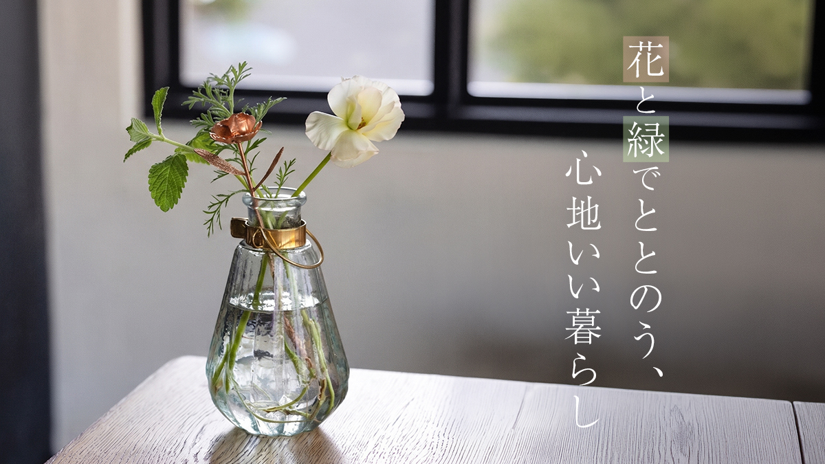 カテゴリ画像