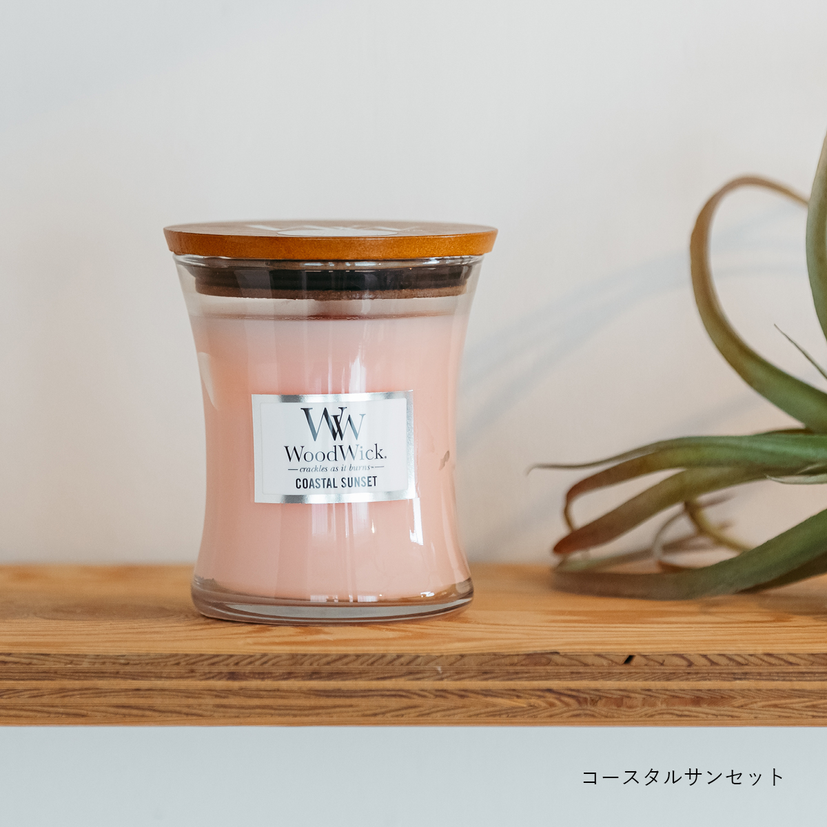 Wood Wick】ジャーＭ | itomani（いとまに）｜日常の「暇（いとま