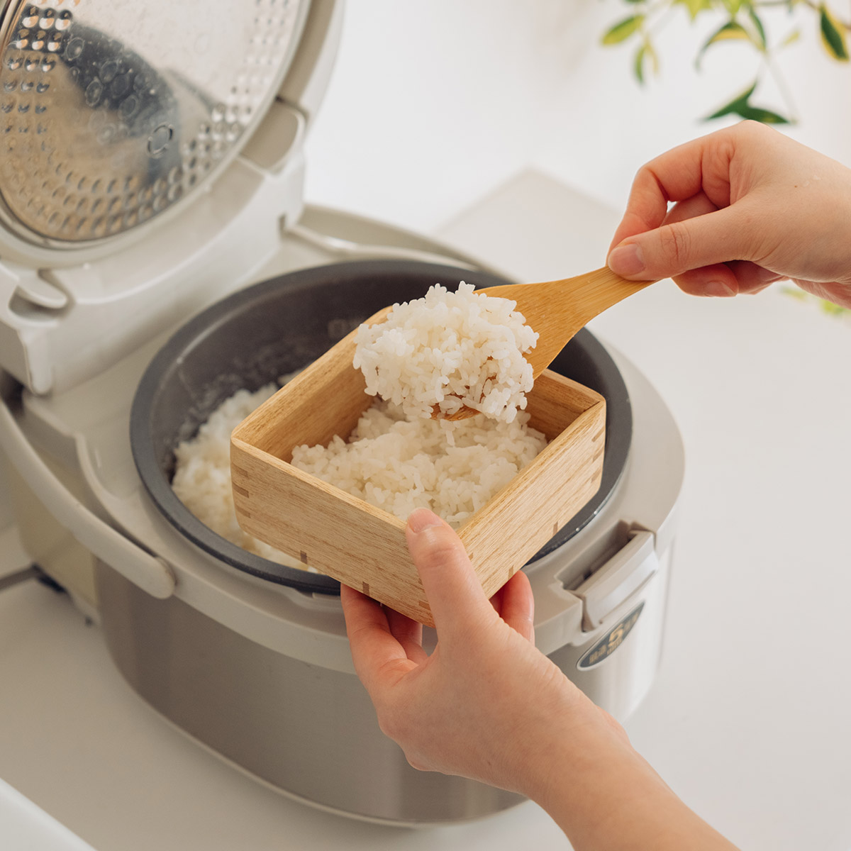 桐製レンジ対応ごはん鉢