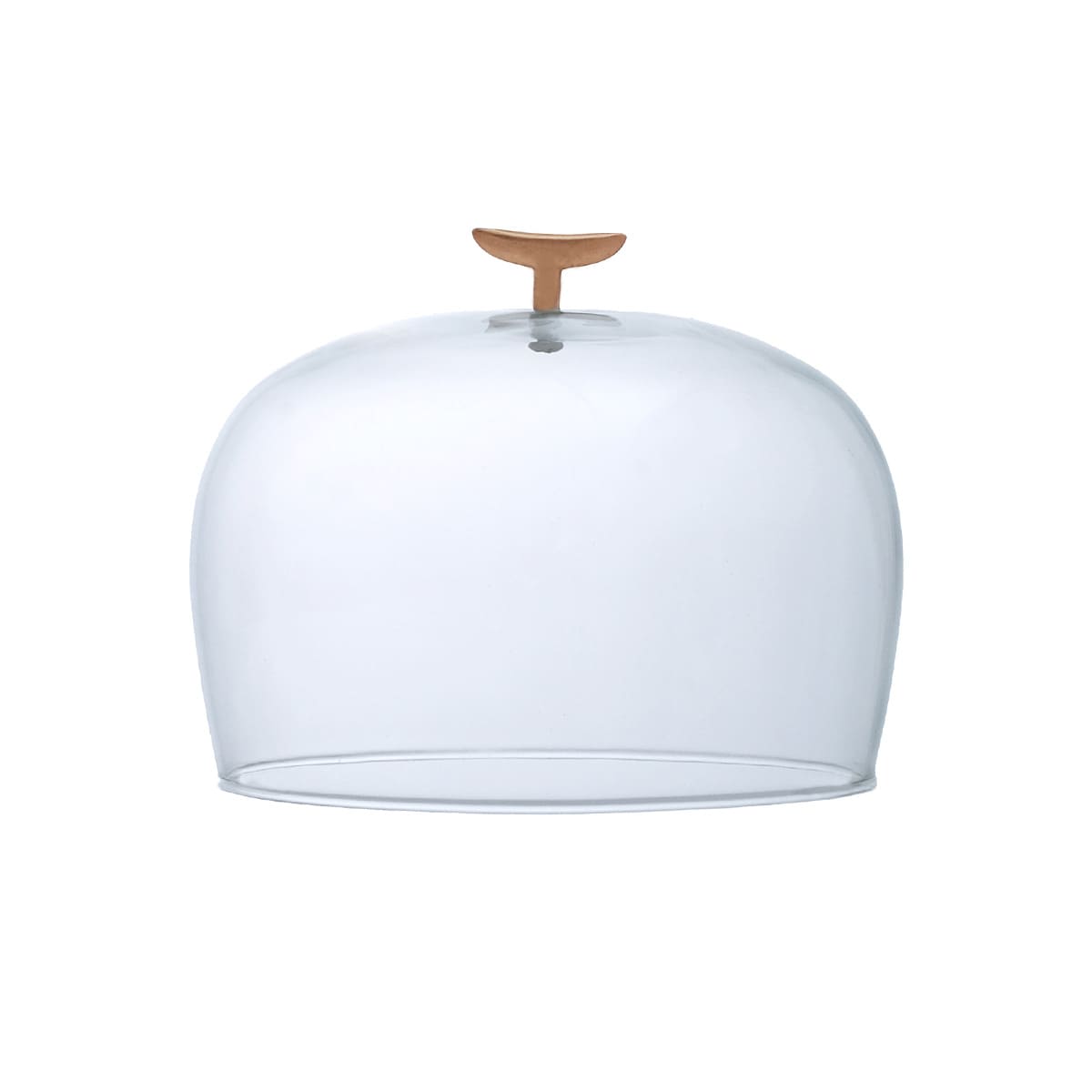 リューズガラスのガラスドーム S