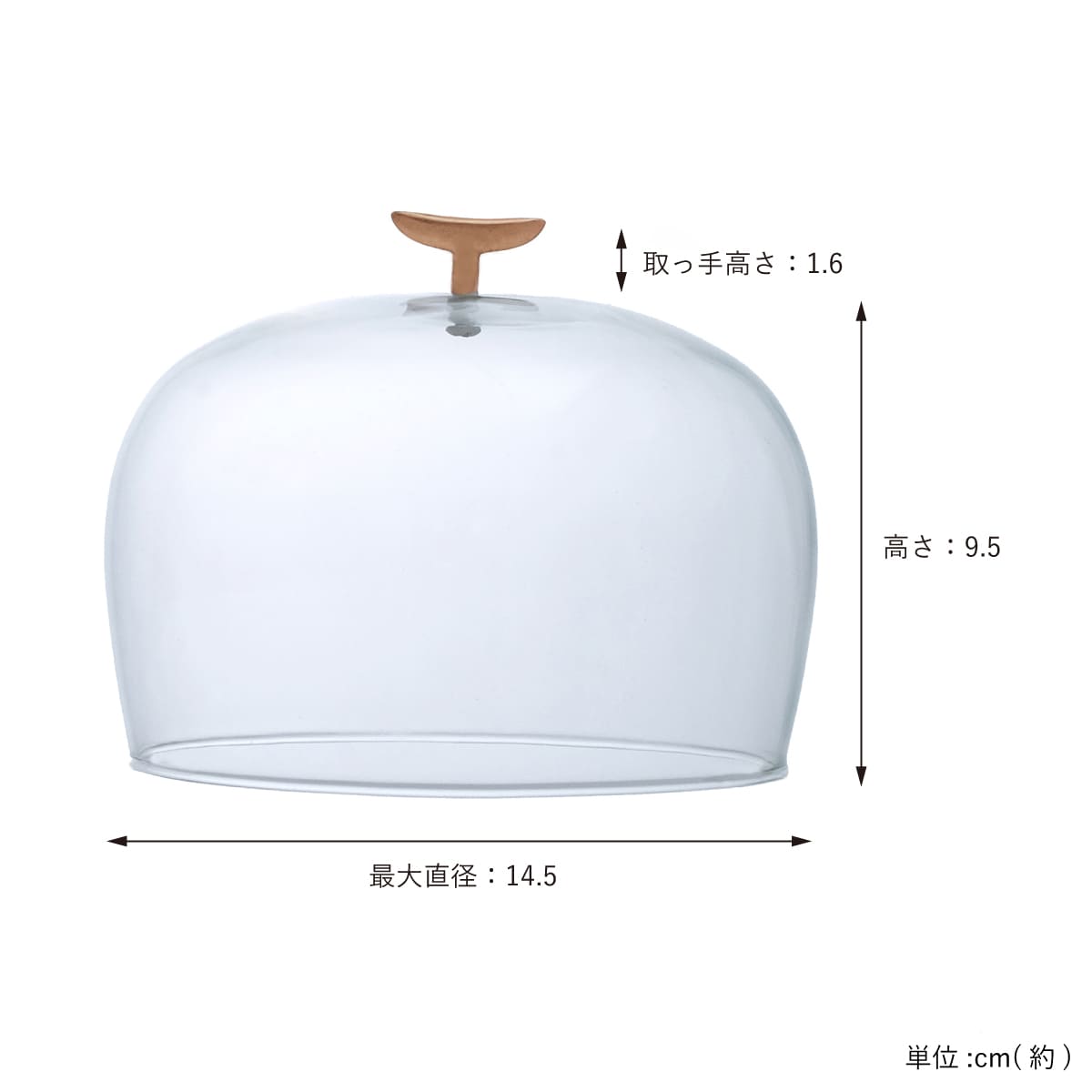 リューズガラスのガラスドーム S