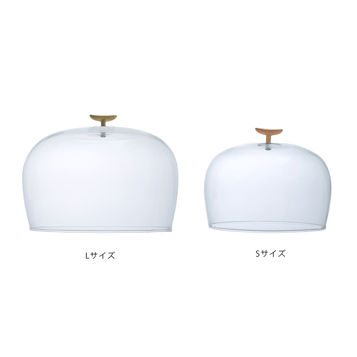 リューズガラスのガラスドーム S