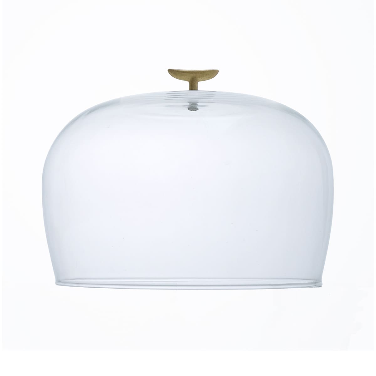 リューズガラスのガラスドーム L