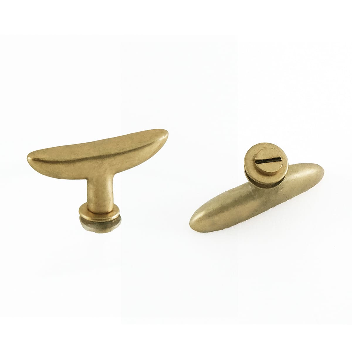 リューズガラスのガラスドーム L