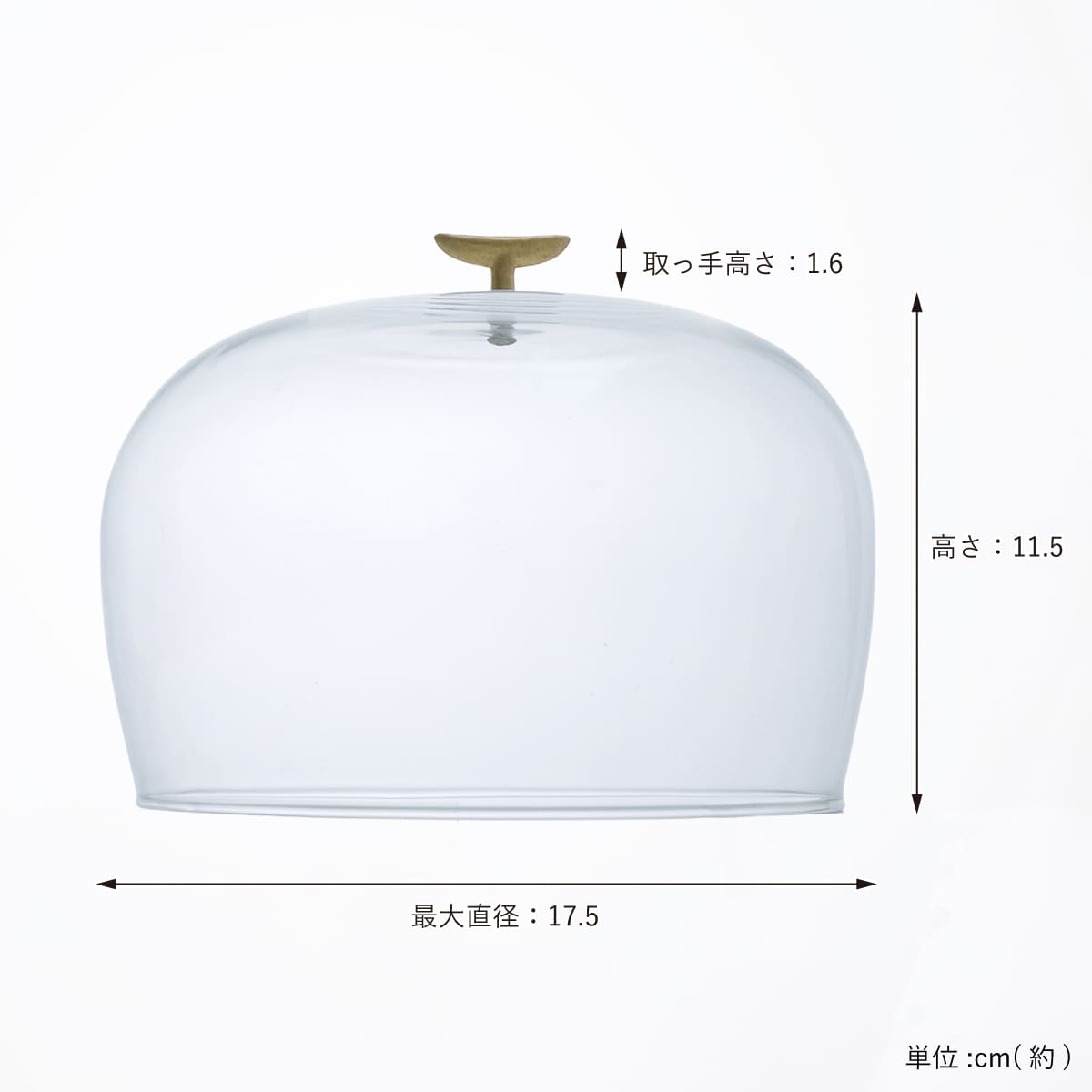 リューズガラスのガラスドーム L