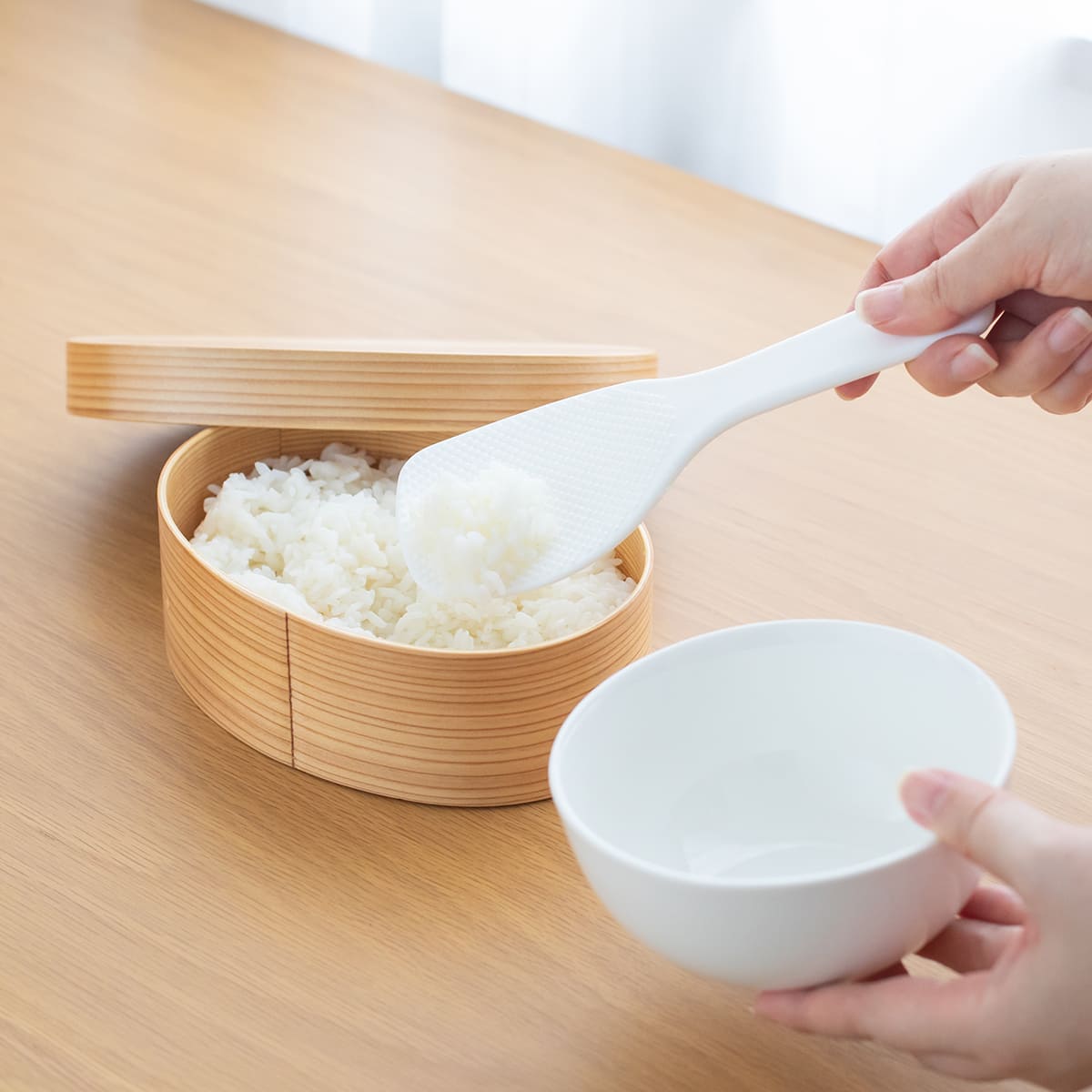 山中塗り レンジ・食洗機対応 杉の曲げわっぱ弁当箱 Lサイズ