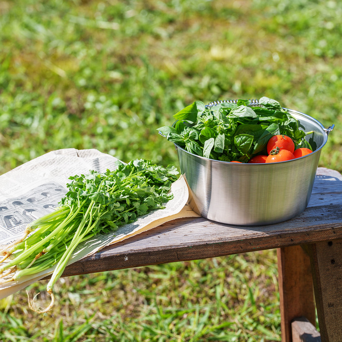 【家事問屋】小バケツ