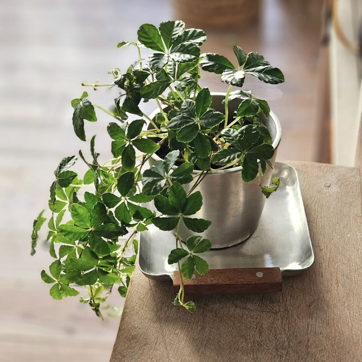 木の持ち手のアルミトレー ミニ