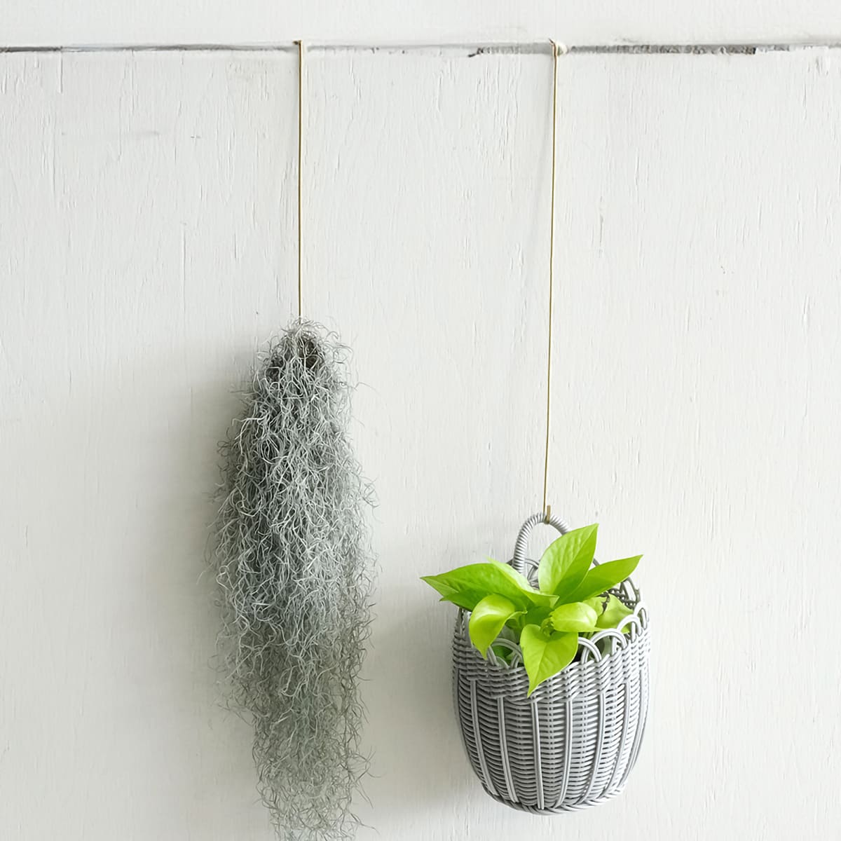 BRASSのドアフック L